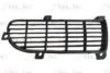 BLIC 6509-01-9504994P Radiator Grille